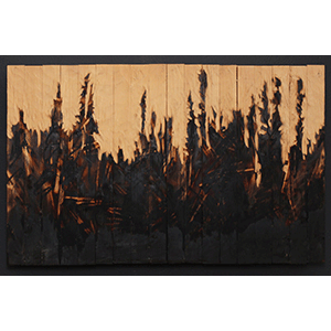Blackend Spruce, Burnt Yellow Cedar, 2012